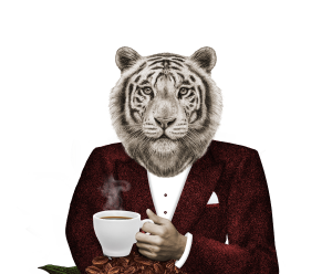 Bevas - Anti-ageing - Coffee enriched with vitamins and minerals