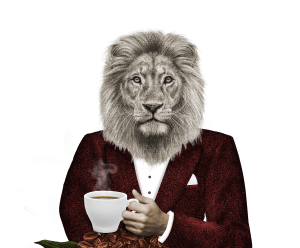 Bevas - Energy - Coffee enriched with vitamins and minerals