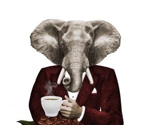 Bevas - Focus - Coffee enriched with vitamins and minerals